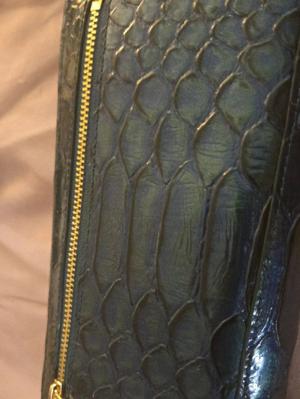 Brahmin Blue/teal Irridescent Embossed Leather Wallet with Gold Plaque. NWT